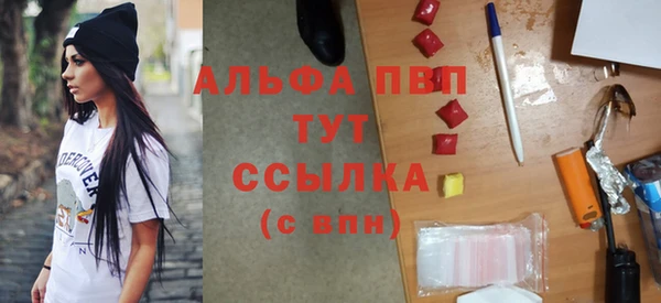 PSILOCYBIN Козельск