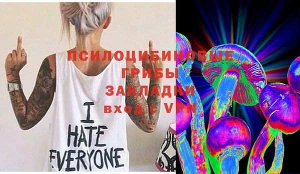 a pvp Козловка