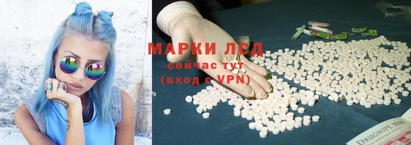 PSILOCYBIN Козельск