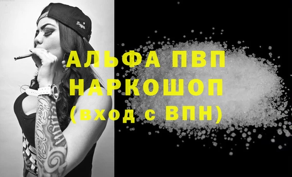 PSILOCYBIN Козельск