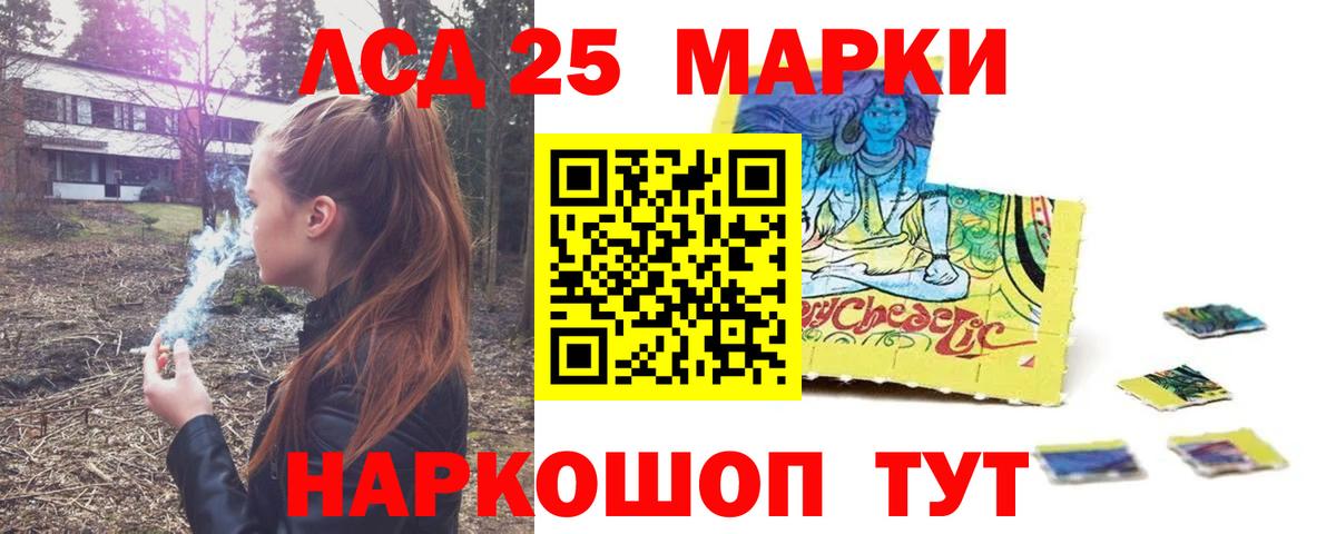 Конопля Отрадный