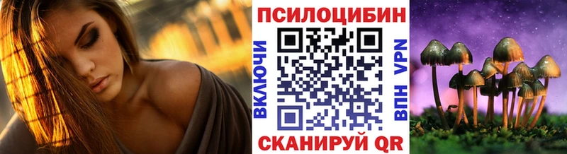 Псилоцибиновые грибы Psilocybe Отрадный