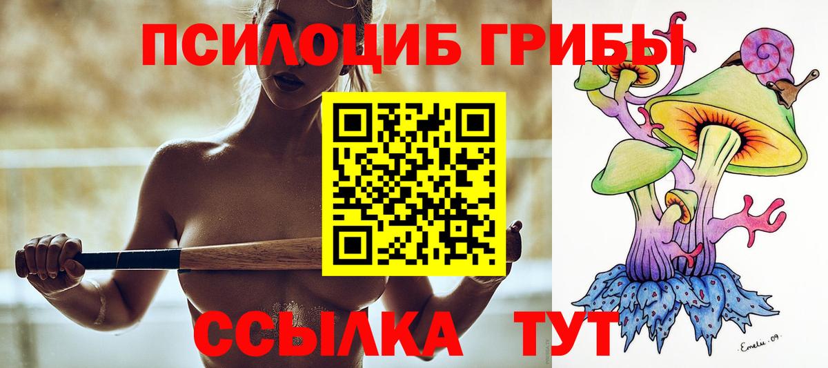 Отрадный  Псилоцибиновые грибы мицелий  Вход с VPN 
